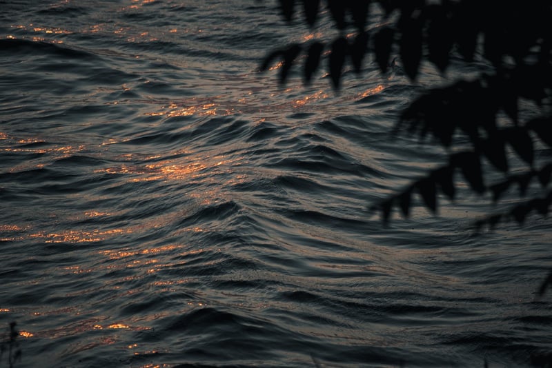 Mermaid Cove